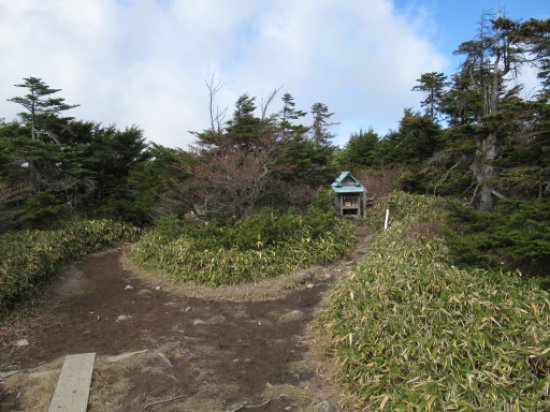 画像37